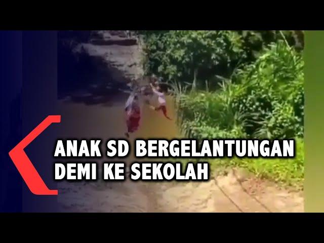 Viral Video Anak SD Bergelantungan Seberangi Sungai, Begini Faktanya!