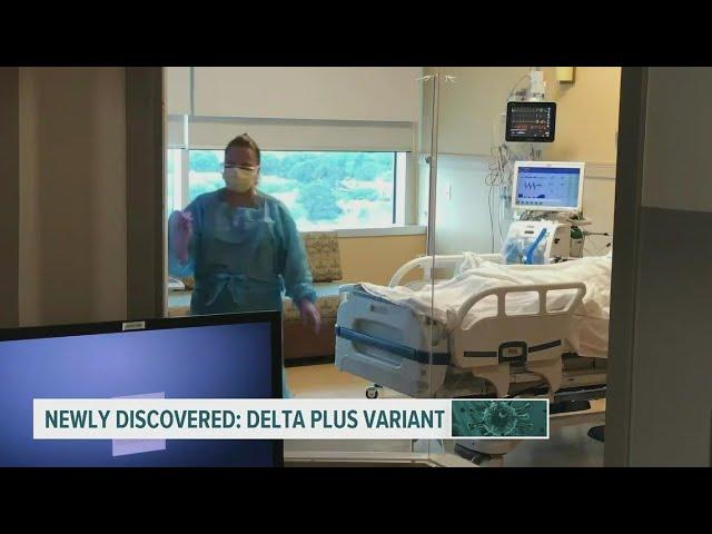 'Delta Plus' variant considered more contagious than 'Delta' variant of COVID-19