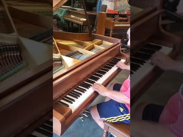 Extraordinary  SCHIMMER  Germany  baby Grand piano