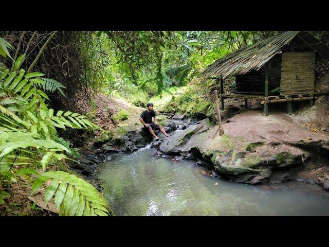 3 day solo camping survival shelter, camping by the river, Making caves, hunting in the forest