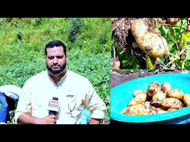 #Bani || Women from remote areas of district Kathua are earning good profits by cultivating potatoes