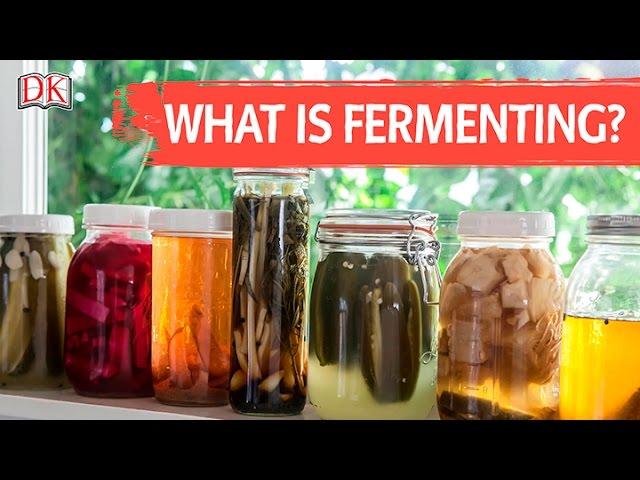 What is Fermenting?