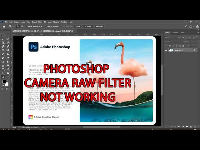 PHOTOSHOP CAMERA RAW FILTER NOT WORKING | SOLVED