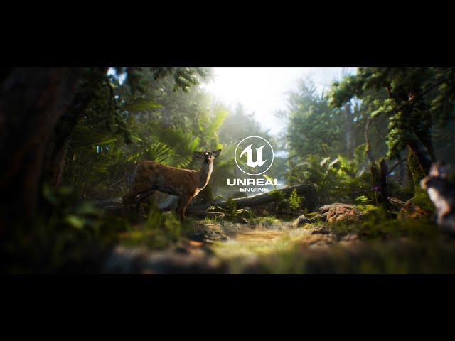 UE4 photorealistic Into The Forest