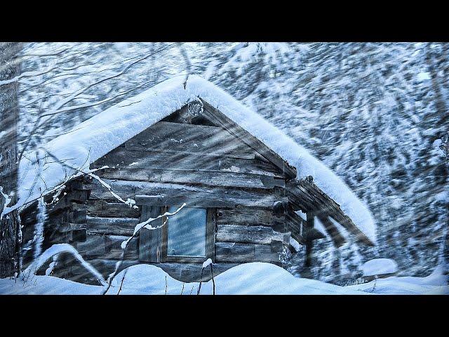 НОЧЬ В СИЛЬНУЮ МЕТЕЛЬ В МАЛЕНЬКОЙ ИЗБУШКЕ. ЯСТРЕБ АТАКОВАЛ ТЕТЕРЕВА