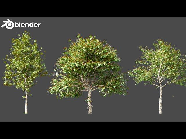 How to Create Realistic Trees in Blender