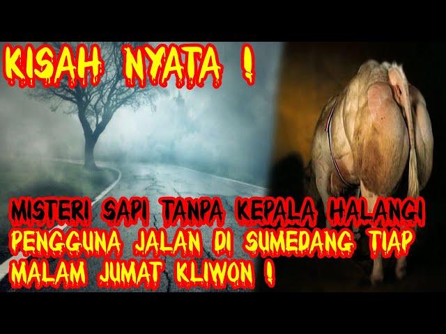 Misteri Sapi Tanpa Kepala Halangi Pengguna Jalan Di Sumedang Tiap Malam Jumat Kliwon !