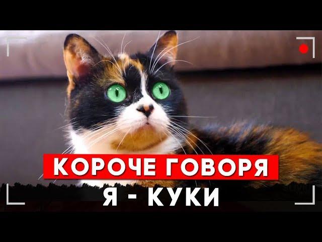 КОРОЧЕ ГОВОРЯ, Я КУКИ КОТ ИЗ СЛИВКИ ШОУ [От первого лица]