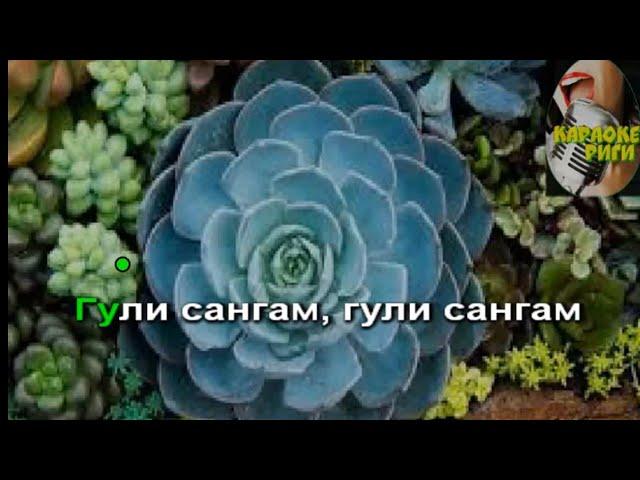 Гули сангам- каменный цветок - караоке (женская тональность)