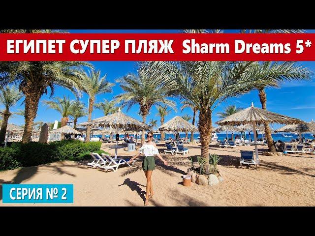 ЕГИПЕТ - МОРЕ НАСЛАЖДЕНИЯ: СУПЕР ПЛЯЖ ОТЕЛЯ Sharm Dreams Resort В БЕЗВЕТРЕННОЙ БУХТЕ ШАРМ ЭЛЬ ШЕЙХА