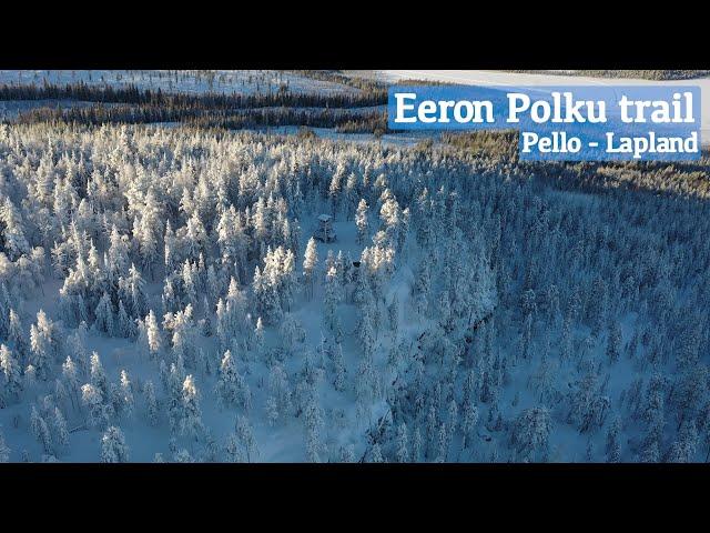 Snowshoeing in Eeron Polku trail in Pello Lapland Finland - Arctic circle winter lumikenkäily Lappi