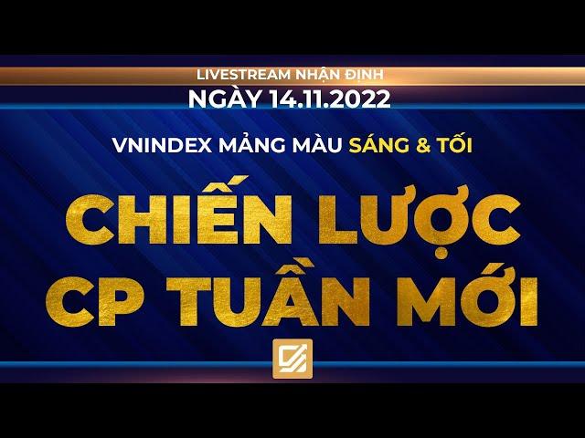 Chứng khoán hôm nay/ Nhận định 14/11/2022: Vnindex mảng màu sáng & tối - Chiến lược CP tuần mới