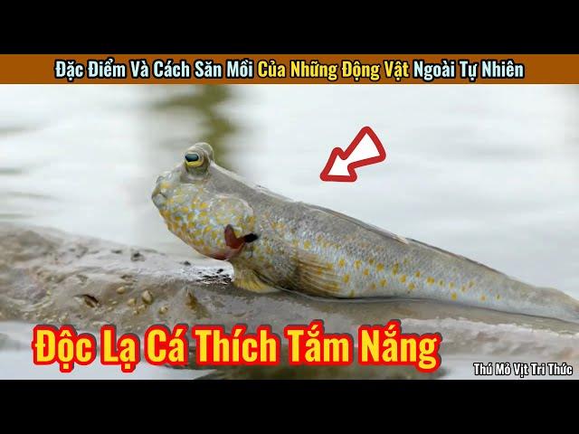 Những Đặc Điểm Hay Ho Của Động Vật Mà Có Thể Sẽ Khiến Bạn Bất Ngờ || Review Giải Trí Đời Sống