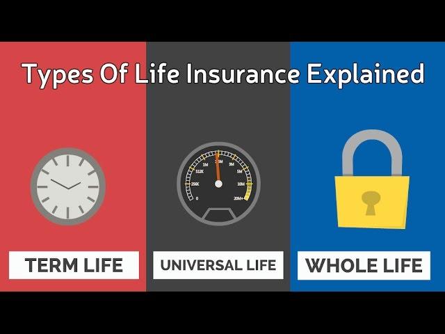 Types Of Life Insurance Explained