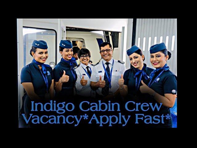 Indigo Cabin Crew Vacancy 2021 *Apply Fast* #indigo #cabincrew #vacancy #airlines #interview