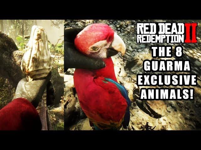 Red Dead Redemption 2 - 8 Guarma Exclusive Animals Location Guide! RDR2