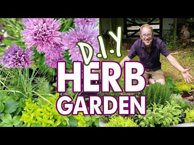 DIY Easy Herb Garden for Beginners