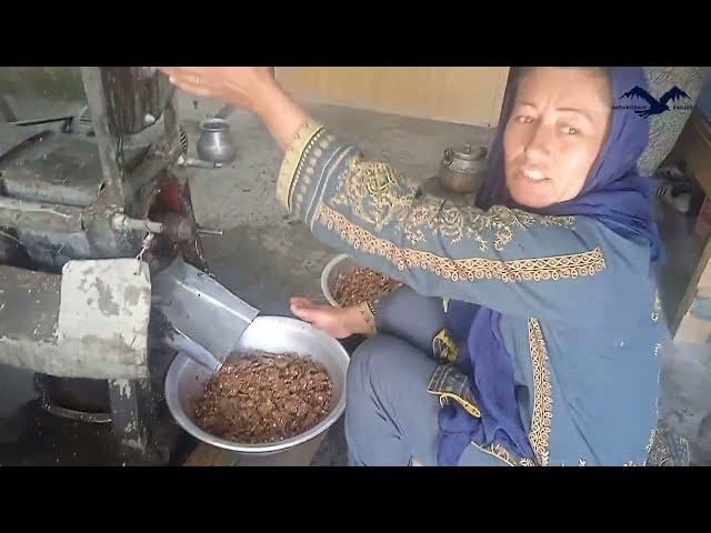 Apricot oil production // Organic // Mountain Community // Karakoram Eagles // Longevity //