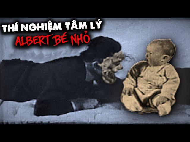 THÍ NGHIỆM ĐEN TỐI: ALBERT BÉ NHỎ - THỬ NGHIỆM TÂM LÝ (Phim Tài Liệu - Giải Thích)