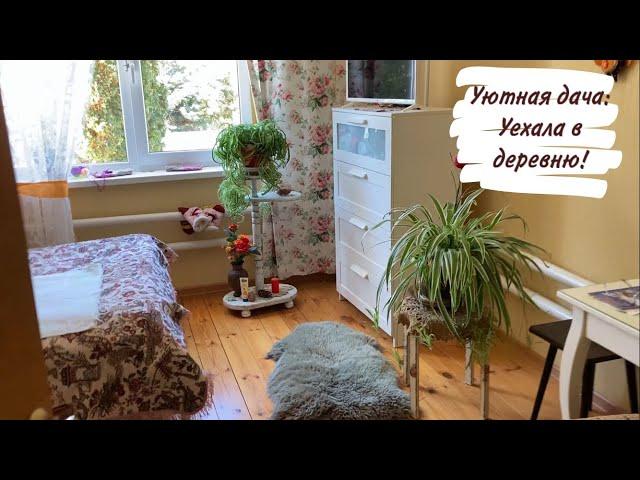 Уютная дача: Уехала в деревню!