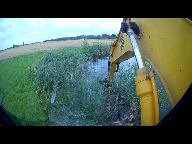 Accelerated cleaning of an overgrown pond