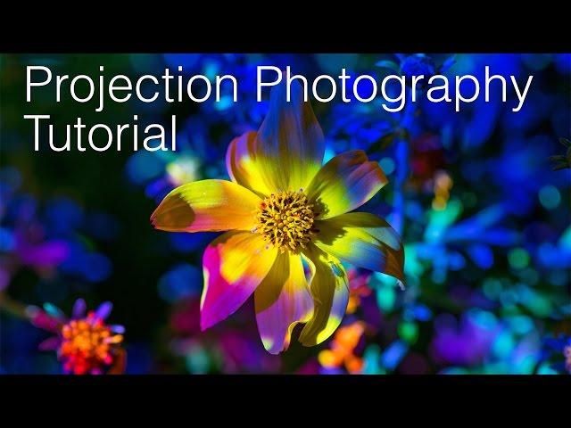 Projection Photography Tutorial + Aaxa M4 / M5 Projector Comparison Review