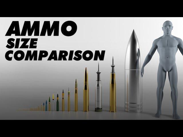 Ammunition Size Comparison