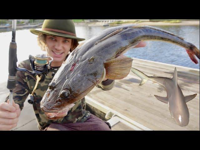 24 HOUR River Monster FISHING CHALLENGE - Eating Only What I Catch! (Shark/Flathead/Eel/Stingray)