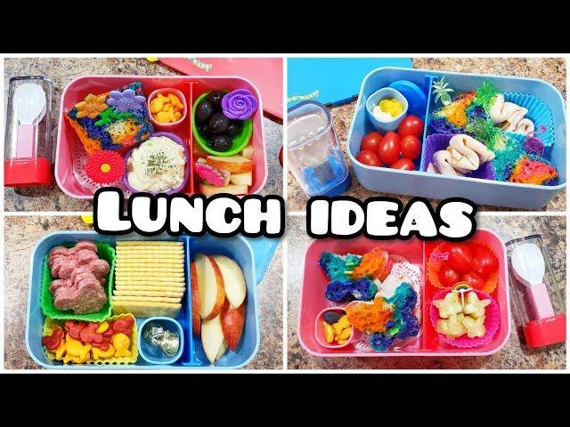 Bento styled lunches +What she ate! - Fun kid lunch ideas - Bella Boo's Lunches