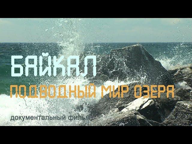 Nature of Russia. Siberia. Underwater world of Baikal. Olkhon Island. Endemics of Baikal.