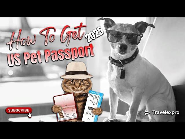 How to Get a US Pet Passport in 2025 ️ | Stress-Free Pet Travel Guide!