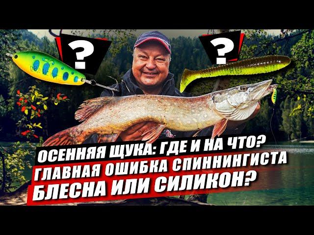 Щука осенью: где и на что? Какая главная ошибка спиннингиста? Блесна или силикон: что эффективнее?