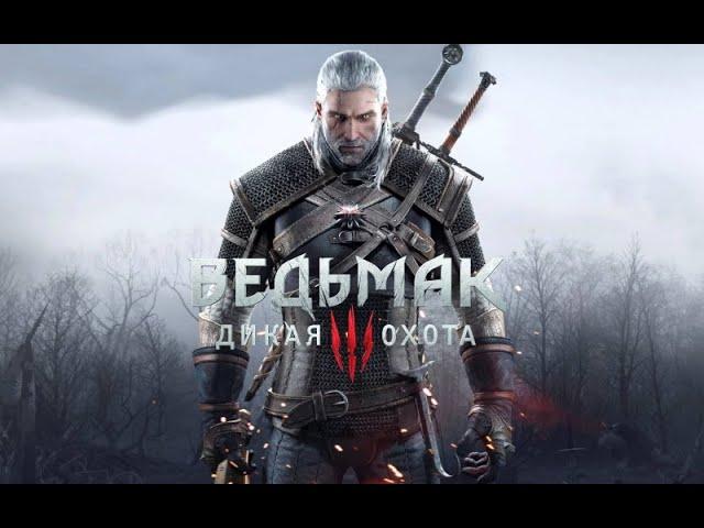 The Witcher 3: Wild Hunt #2