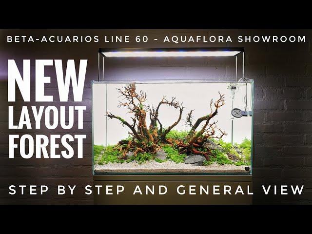 Step-by-step of Beta-Acuarios Line 60 at Aquaflora Showroom | Diorama forest aquascape