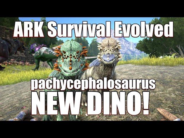 ARK: Survival Evolved - New Dino! - Pachycephalosaurus Pachy Kibble Tame!