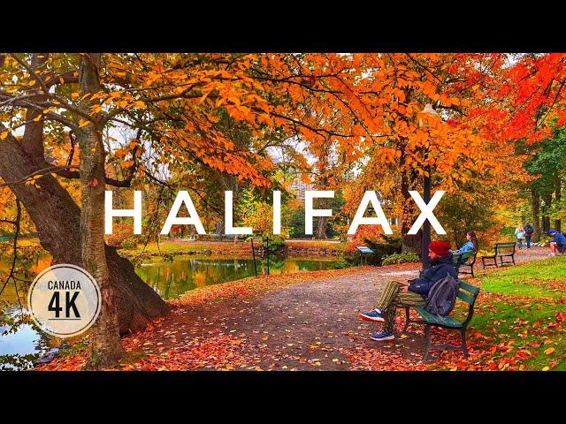 Colours of Fall  in Halifax Canada  | Downtown | Spring Garden | 4K Walking Tour | October 2024