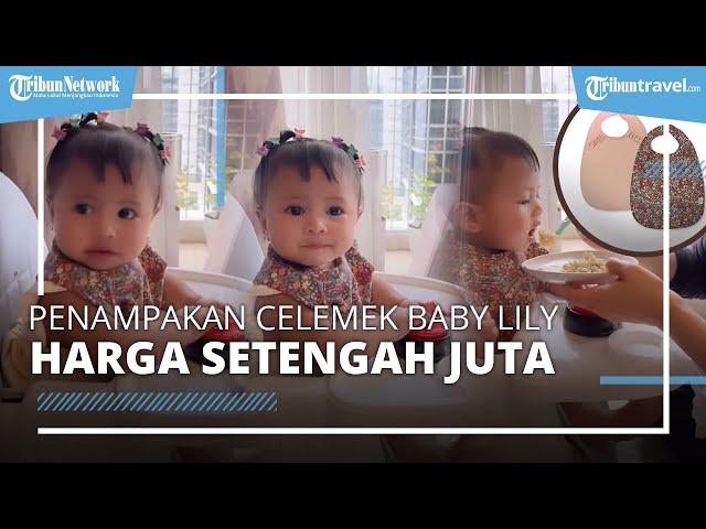 Penampakan Celemek Harga Setengah Juta Rupiah Milik Baby Lily Anak Angkat Sultan Andara