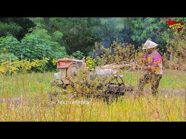 Traktor Sawah Libas Semak Belukar Dan Jerami Tinggi