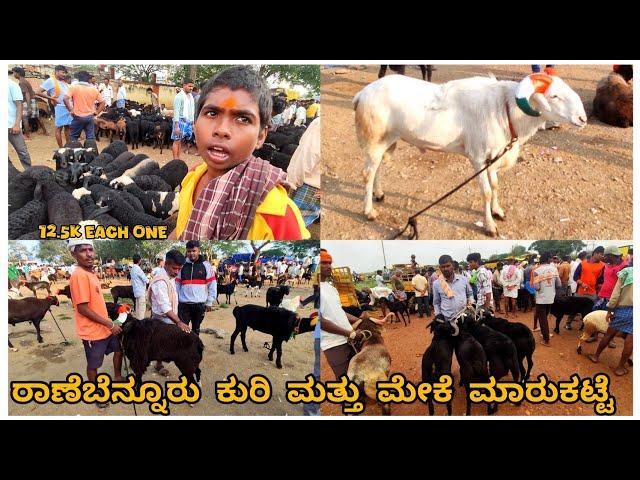 Ranebennur sheep and goats market update Every Sunday morning bazar Karnataka India