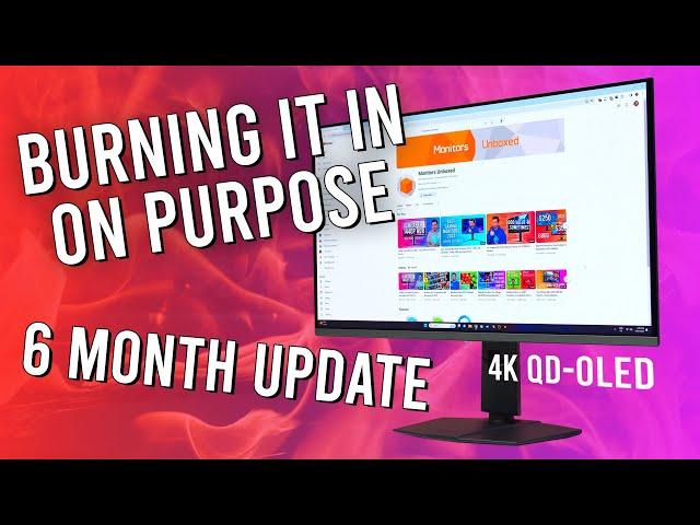 Deliberately Burning In My QD-OLED Monitor - 6 Month Update