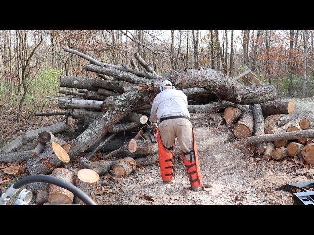 #602 Kickback, and Three Other Dangers to Consider While Cutting into Log Pile