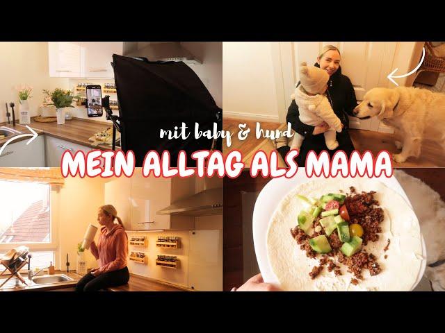 Alltag als Mama | Haushalt , Baby & Hund | Content Day