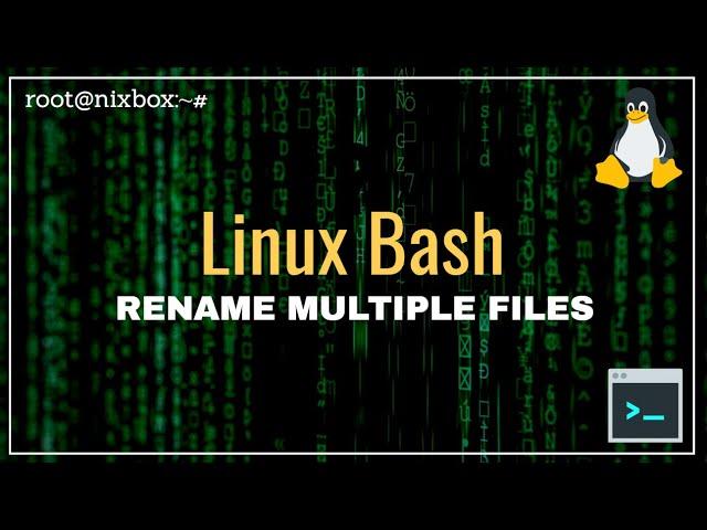 How to Change File Extension to Multiple Files at Once in Bash