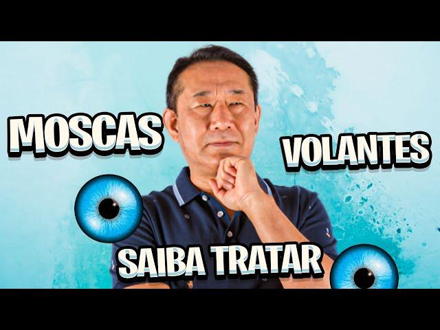 Moscas volantes nos olhos como cuidar?