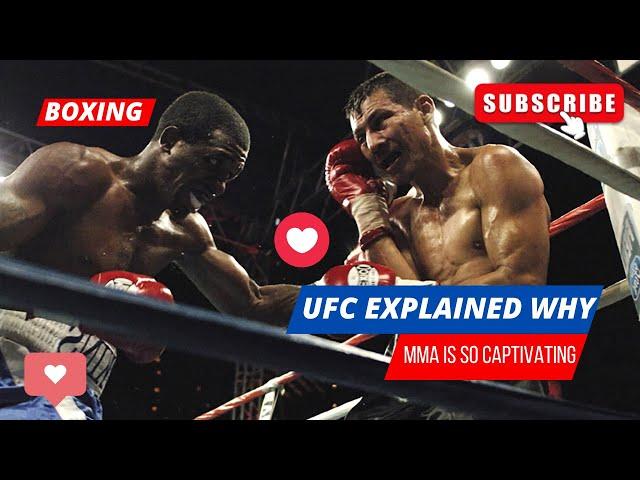 Why Mma Is So Captivating: Ufc Explained