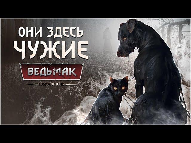 ОНИ ЗДЕСЬ ЧУЖИЕ ► Ведьмак: Чёрный кот и чёрный пёс ► Переулок Хэла