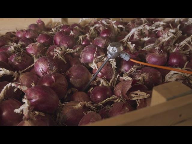 JC Watson Innovations - EC Onion Storage