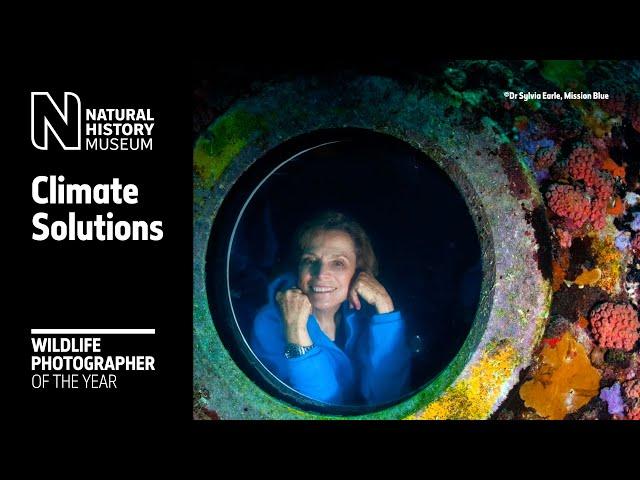 Climate Solutions | Wildlife Photographer of the Year | Natural History Museum