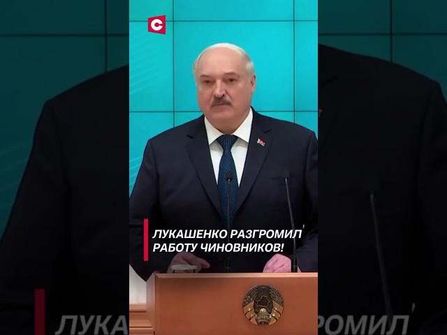 Лукашенко: Они будут воровать солярку и гробить телят! #shorts #лукашенко #беларусь #новости