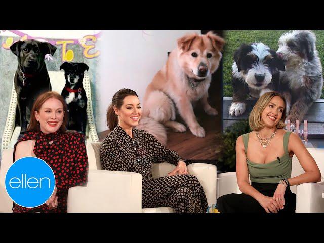 Celebrities Talking About Their Dogs for 10 More Minutes Straight